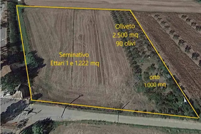 insertion image
