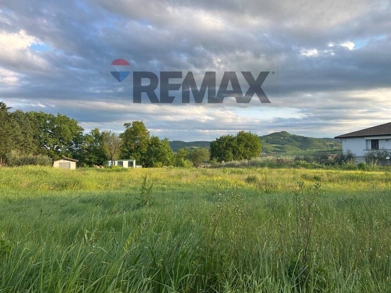 immagine annuncio 4 di 8