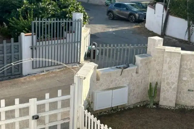 insertion image