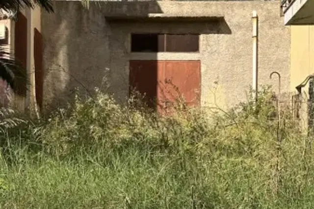 insertion image
