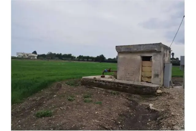 Terreno agricolo, Siracusa - Foto 1