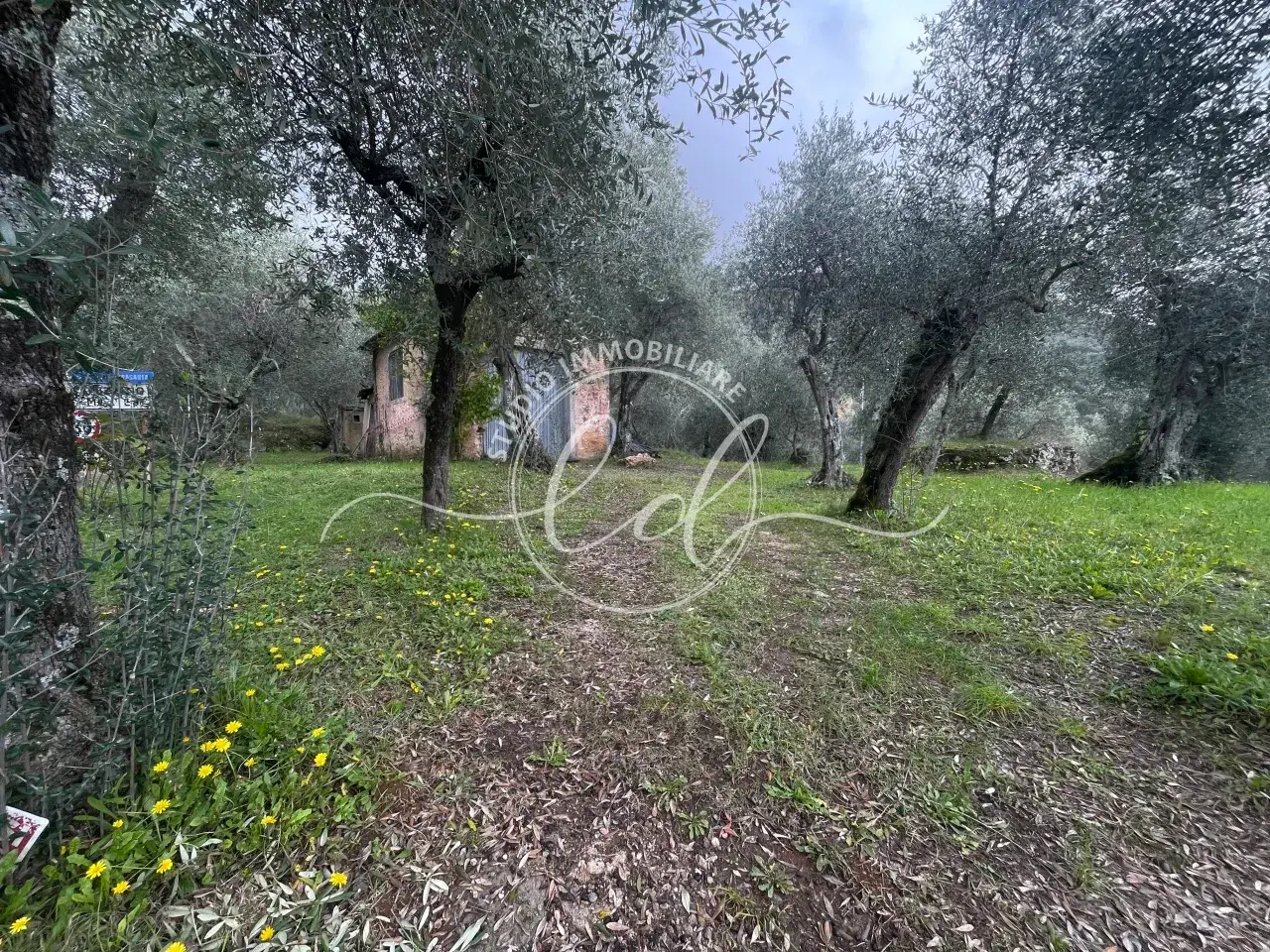 Laboratorio in , Pietrasanta, {3} - Foto 2