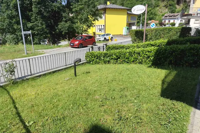 insertion image