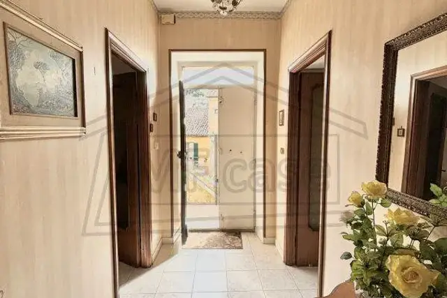 insertion image