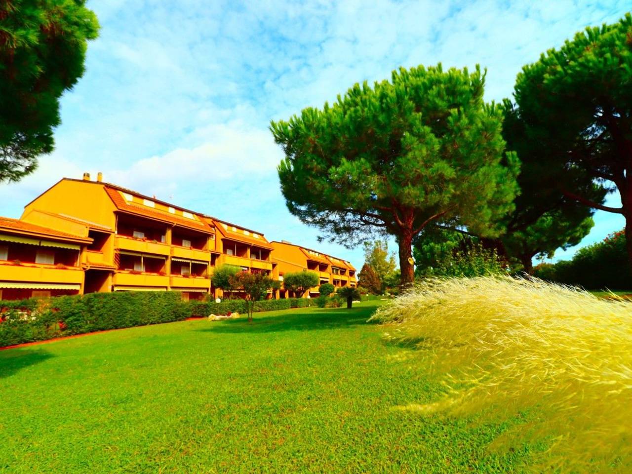 immagine annuncio 12 di 14