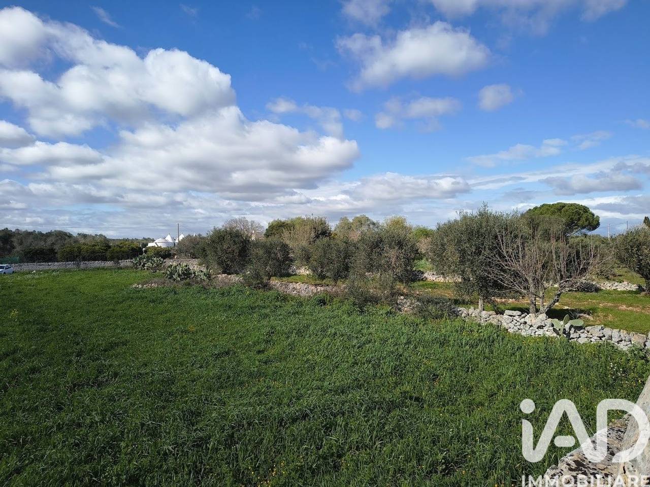 immagine annuncio 3 di 8