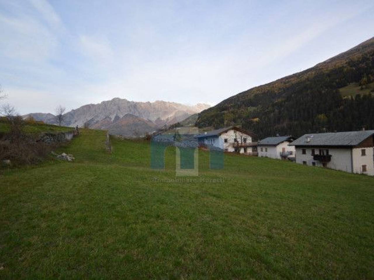 immagine annuncio 6 di 11