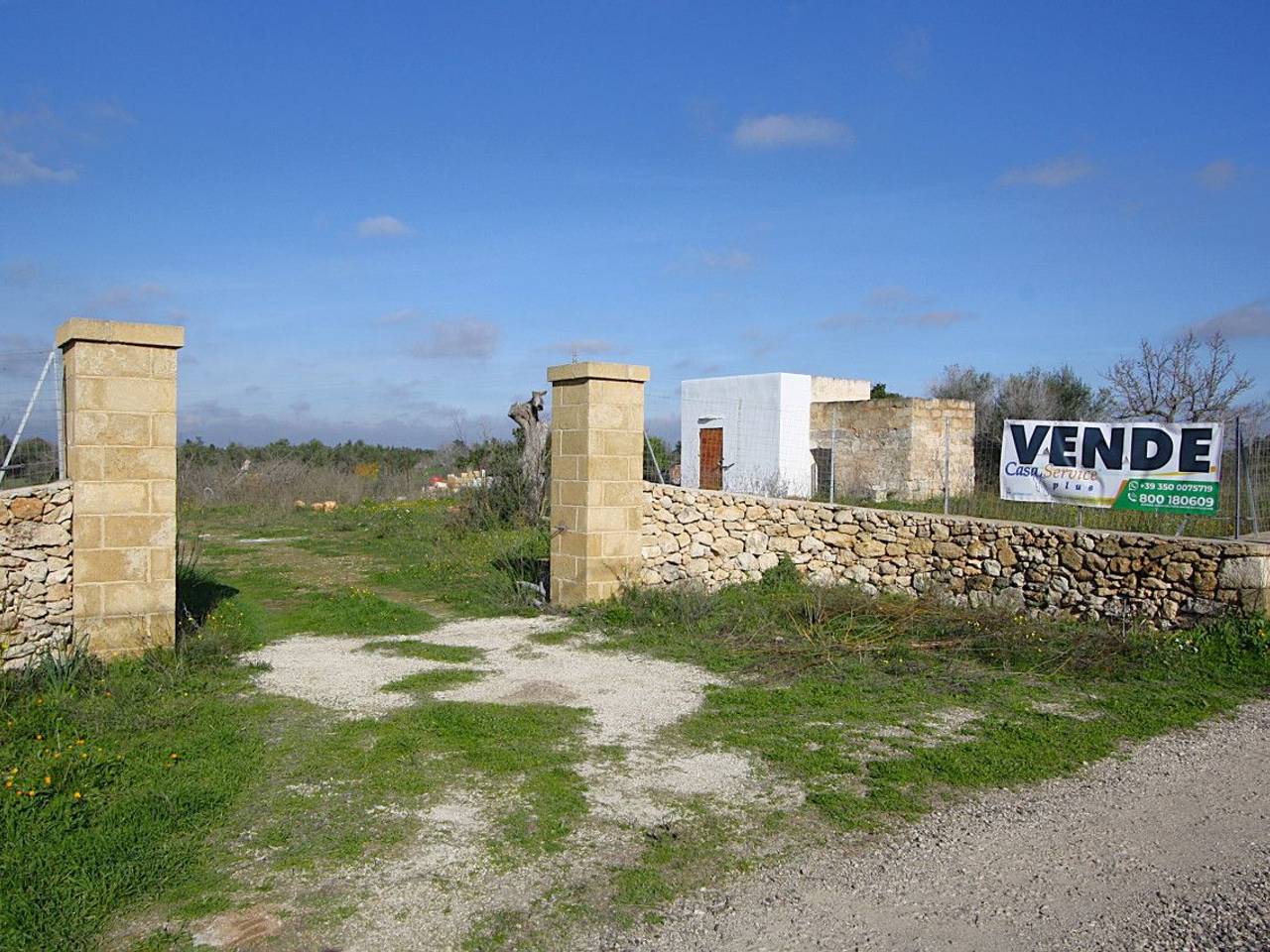 immagine annuncio 7 di 15