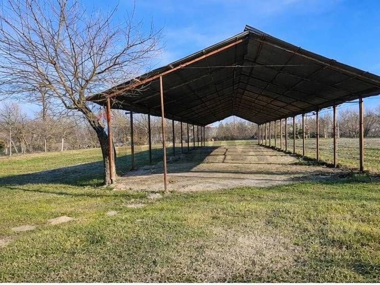 immagine annuncio 2 di 6