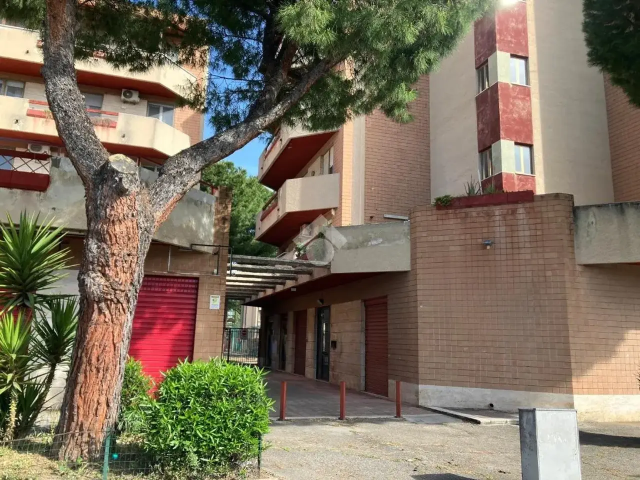 Negozio in Via Giampietro Faccolli 55, Foggia, {3} - Foto 2