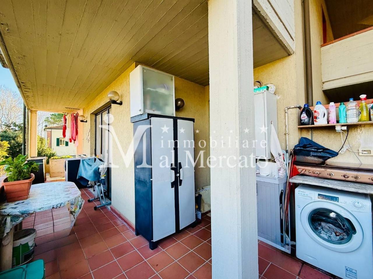 immagine annuncio 7 di 15