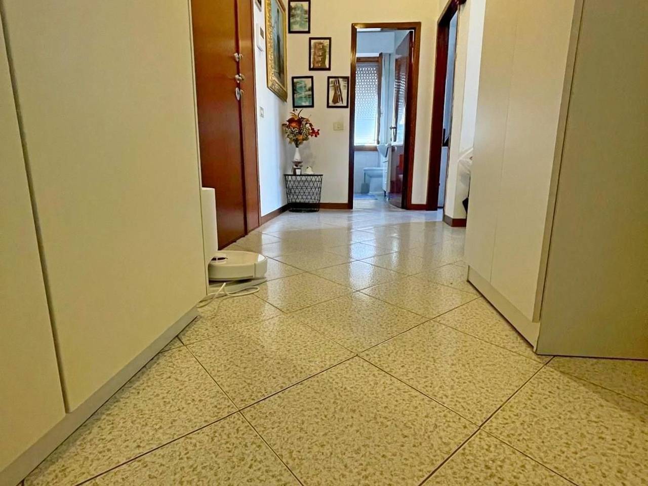 immagine annuncio 1 di 7