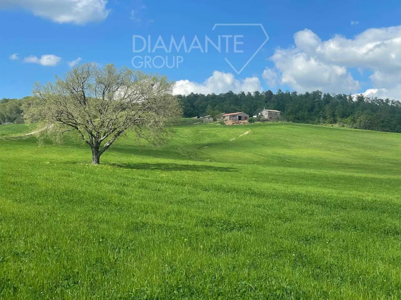 Azienda agricola in , Valentano, {3} - Foto 1