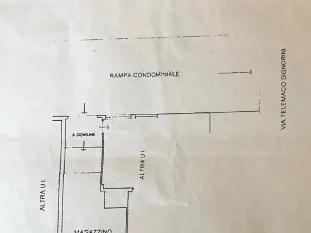 Negozio in Via Telemaco Signorini, Firenze, {3} - Planimetria 1