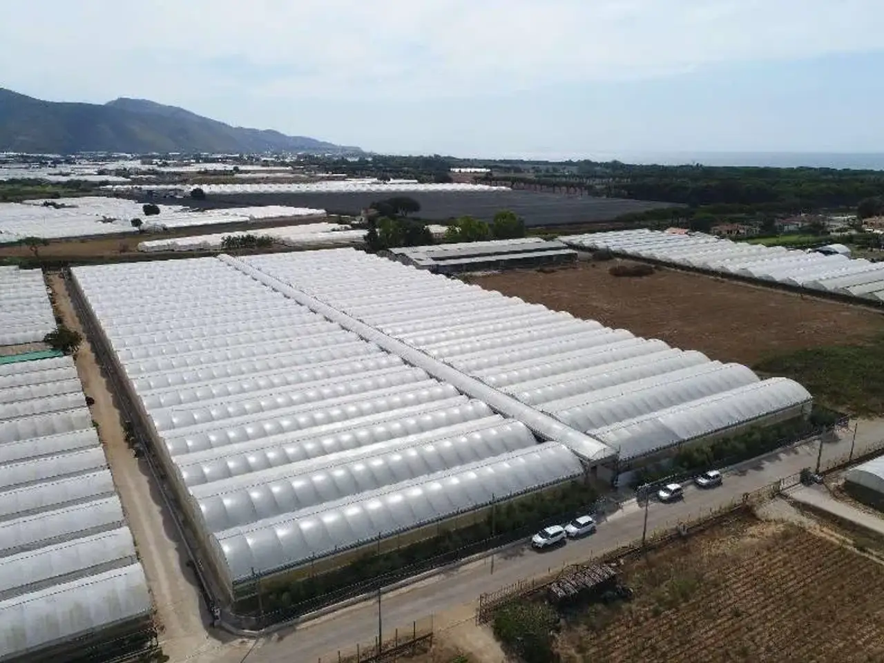 Azienda agricola in , Fondi, {3} - Foto 1