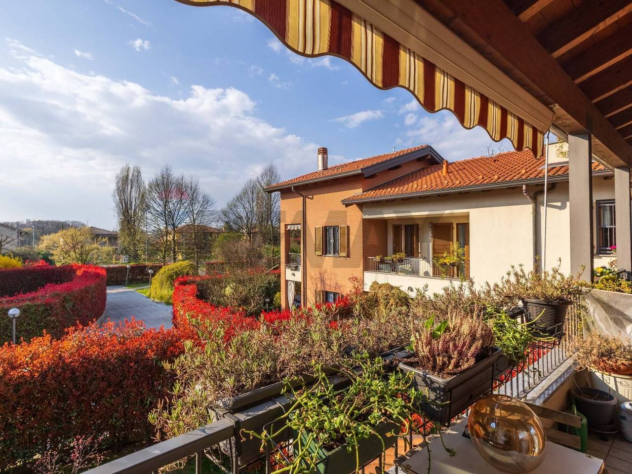 immagine annuncio 10 di 15