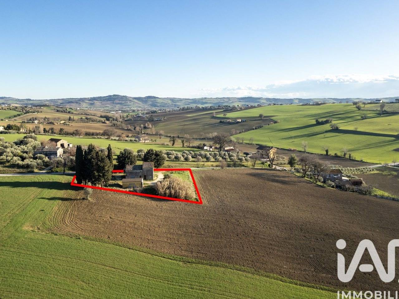 immagine annuncio 9 di 15