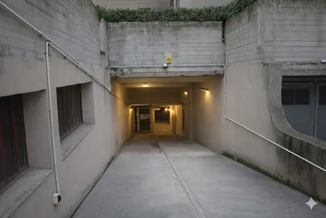 insertion image
