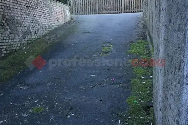 insertion image