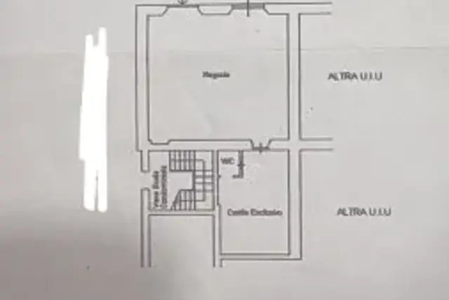 insertion image