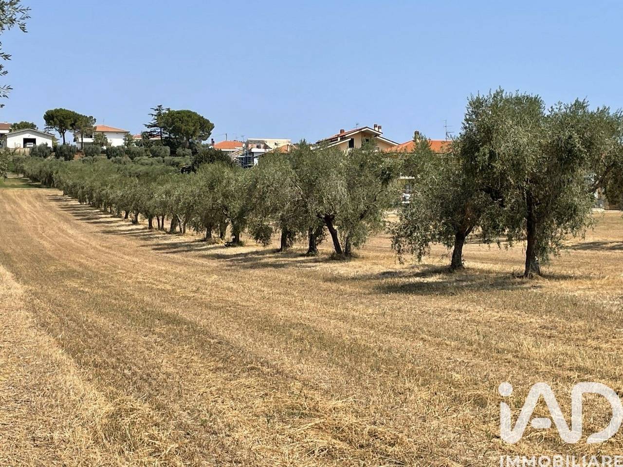 immagine annuncio 4 di 11