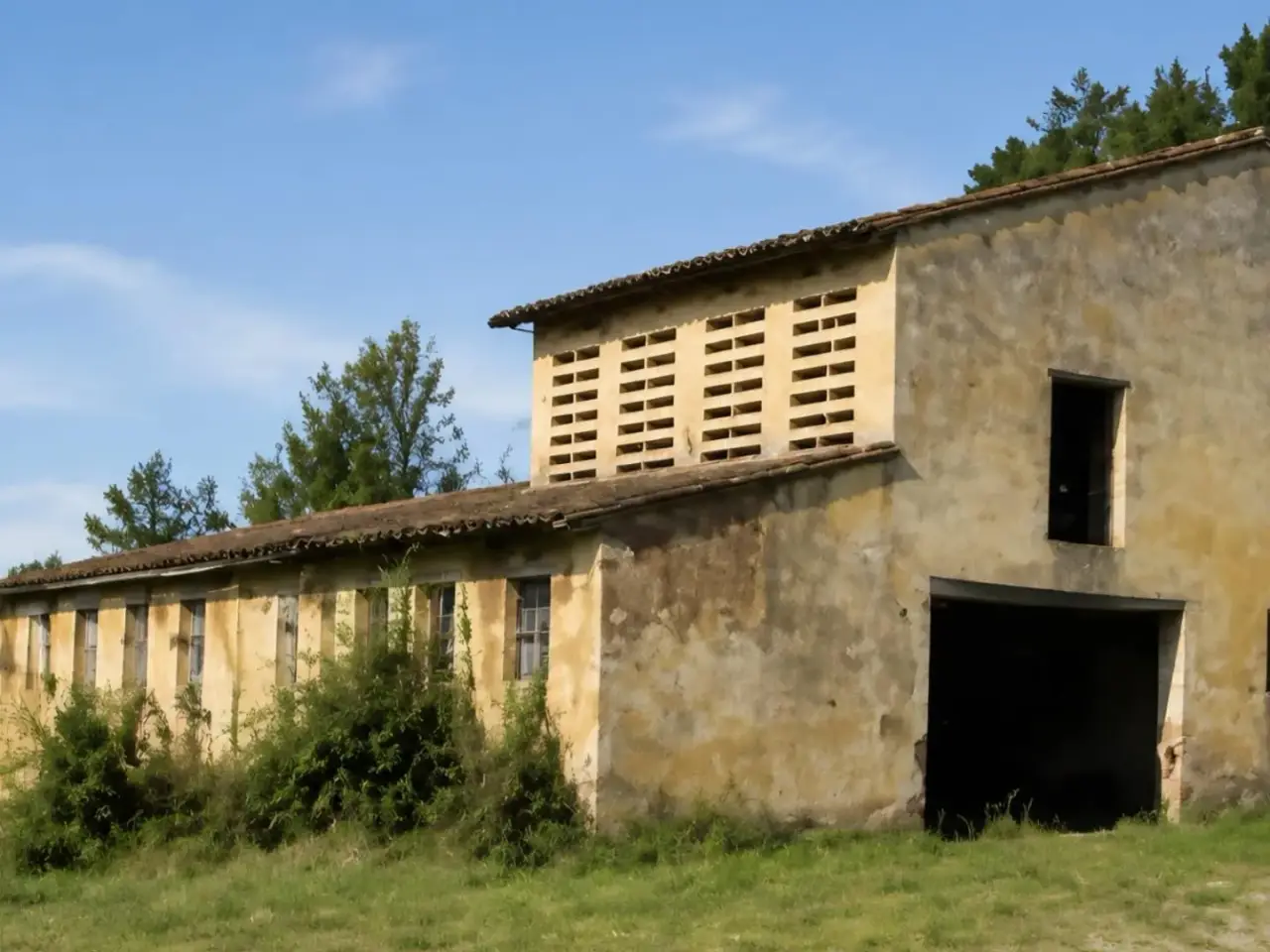 Azienda agricola in , Montopoli In Val D'Arno, {3} - Foto 2