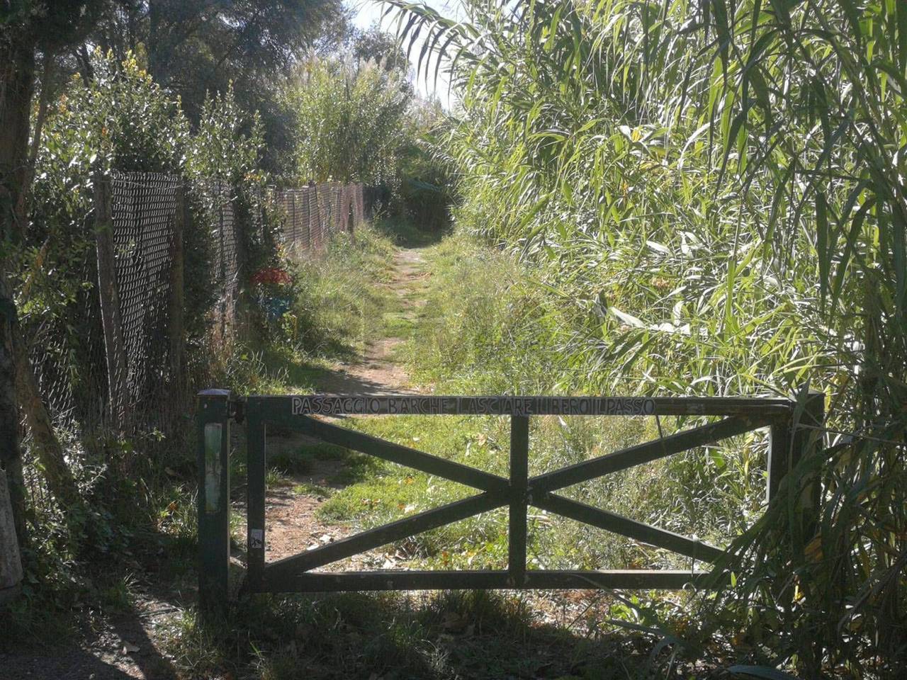 immagine annuncio 11 di 15