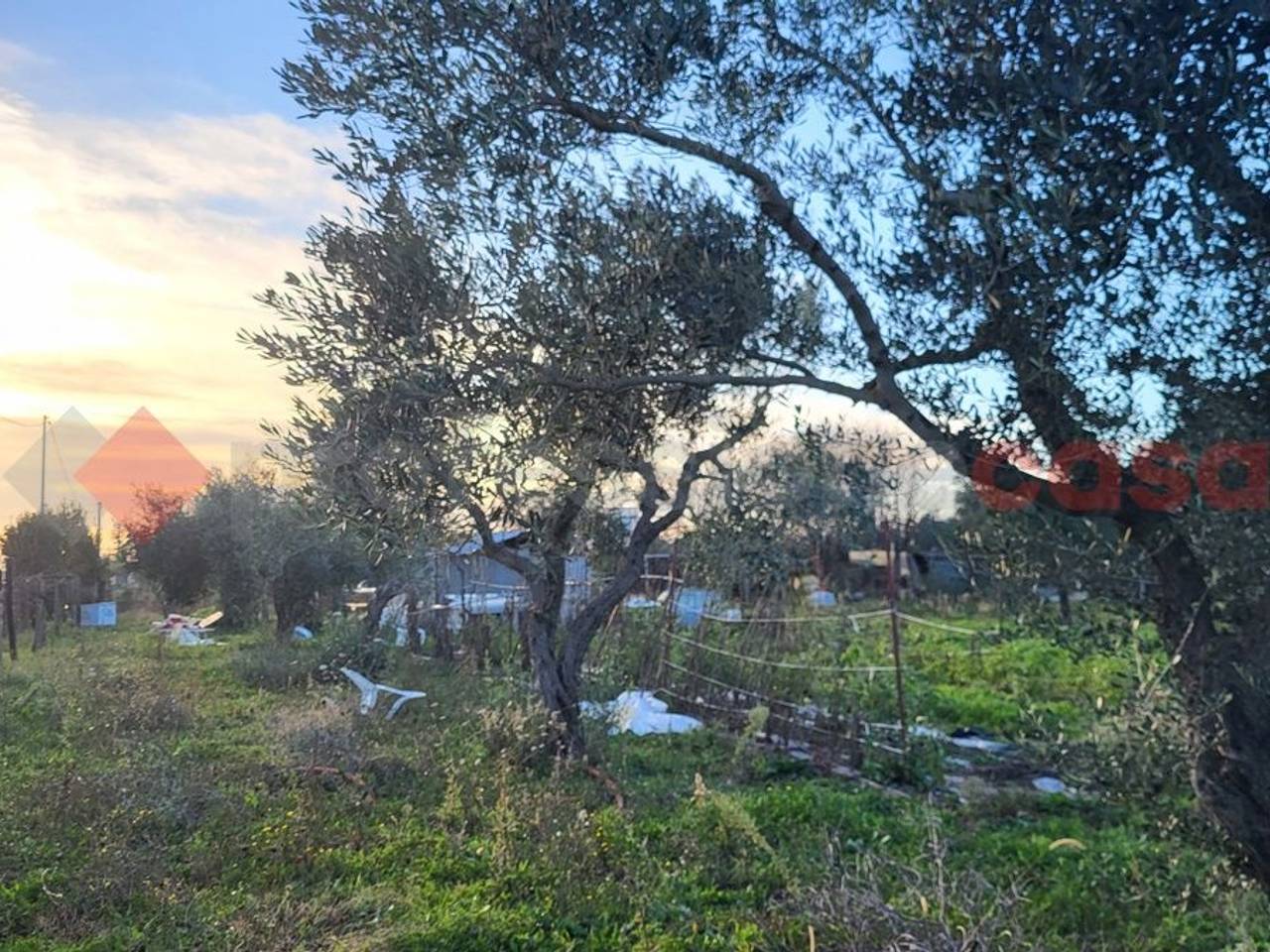 immagine annuncio 7 di 11