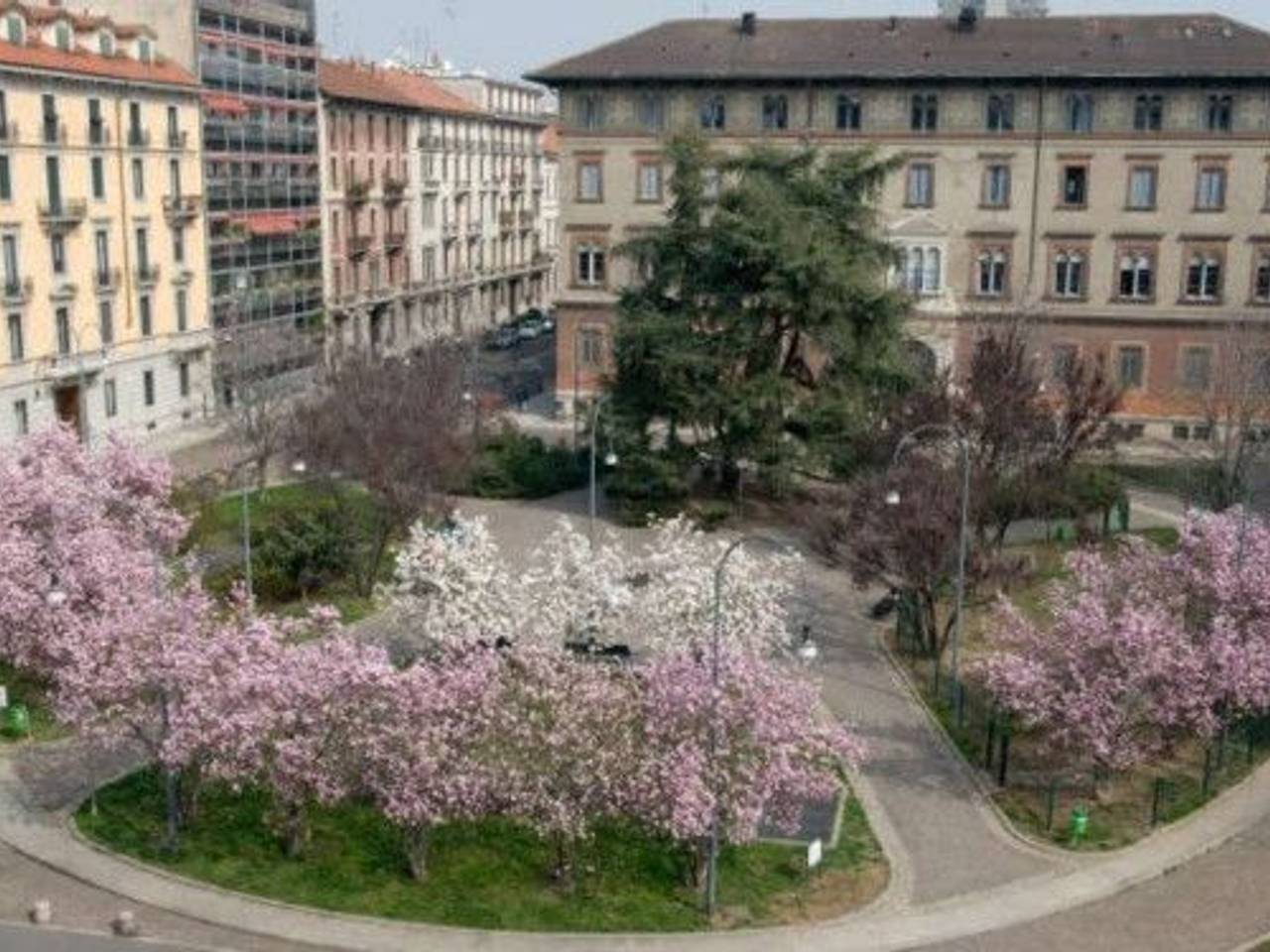 immagine annuncio 3 di 4