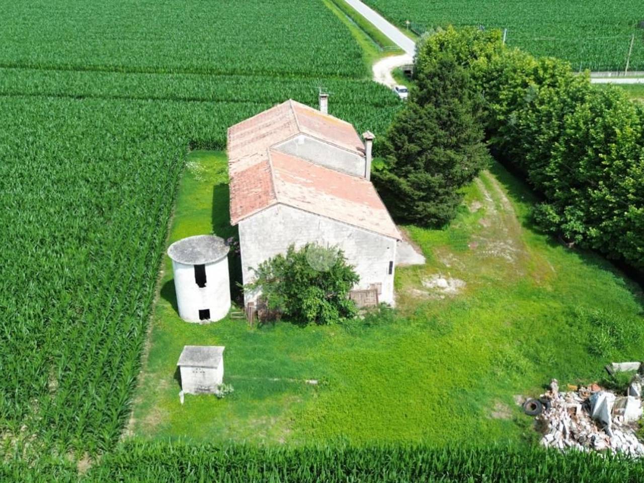 immagine annuncio 4 di 7