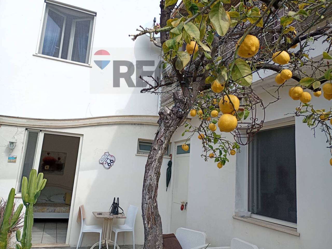 immagine annuncio 2 di 11