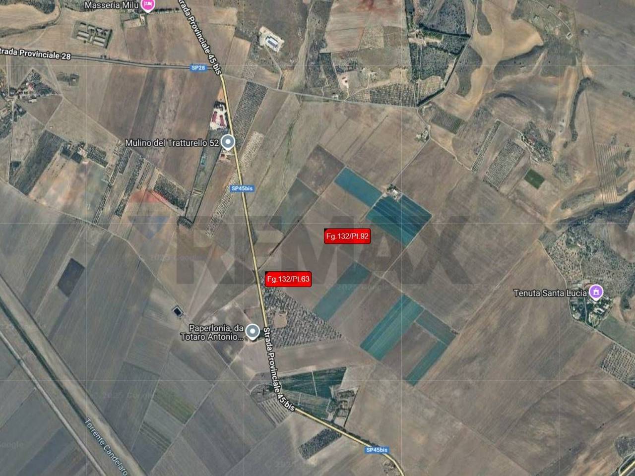 immagine annuncio 4 di 14