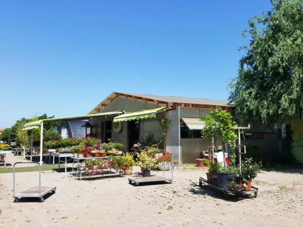 Azienda agricola in Via del Ponte,,Fano, Fano, {3} - Foto 1