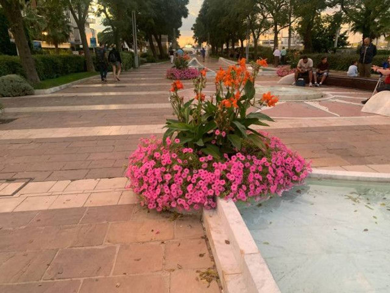 immagine annuncio 3 di 14