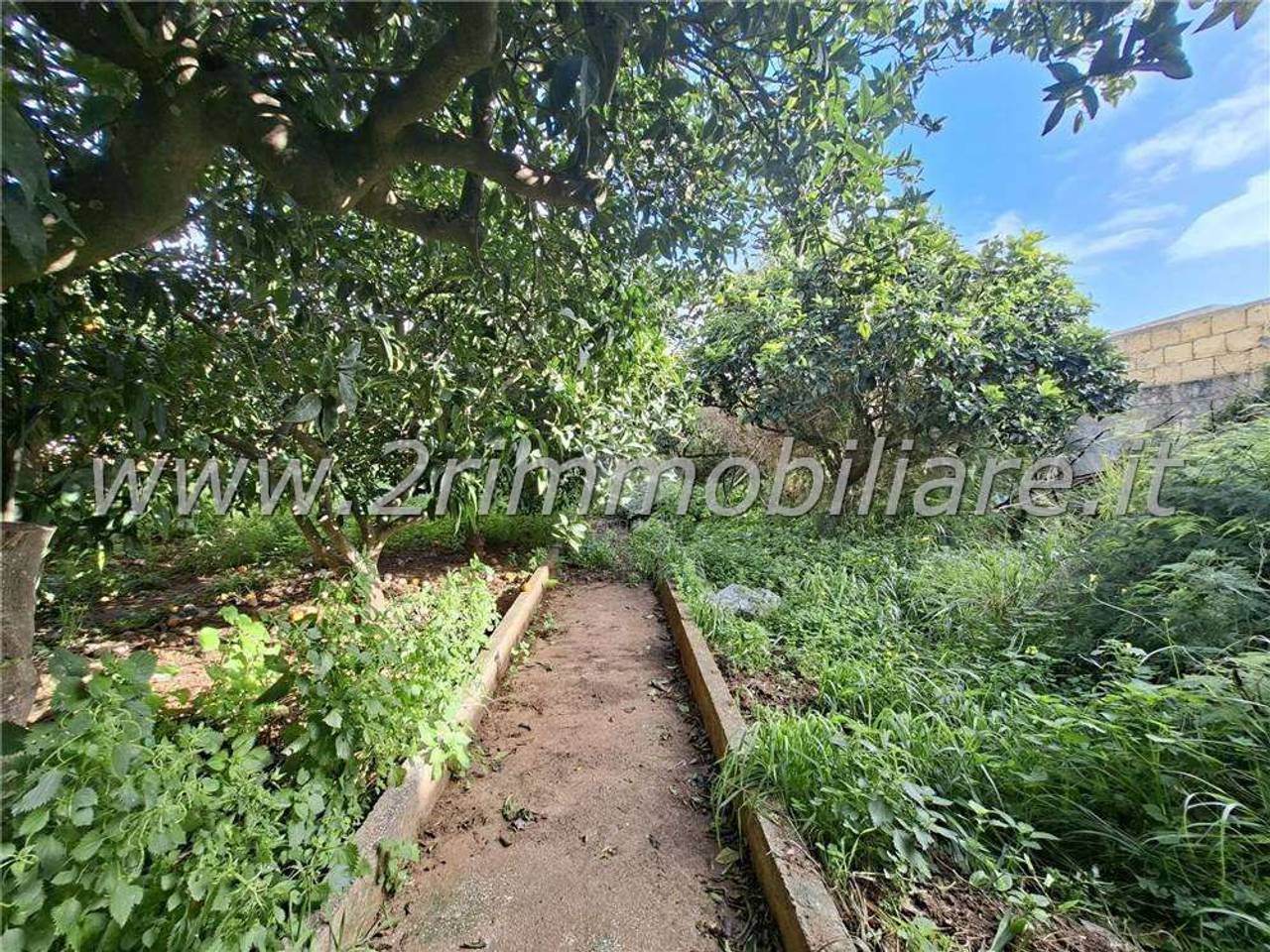 immagine annuncio 10 di 12