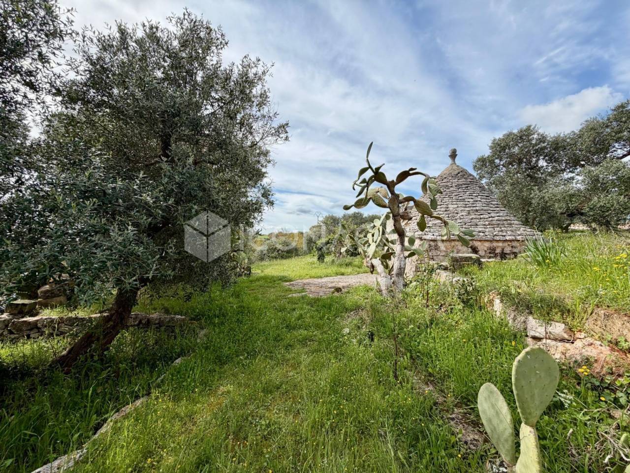 immagine annuncio 9 di 11