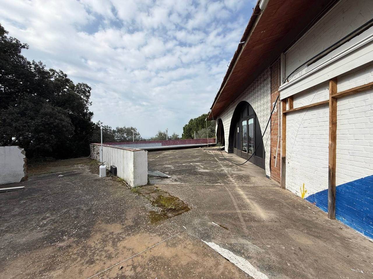 immagine annuncio 4 di 7