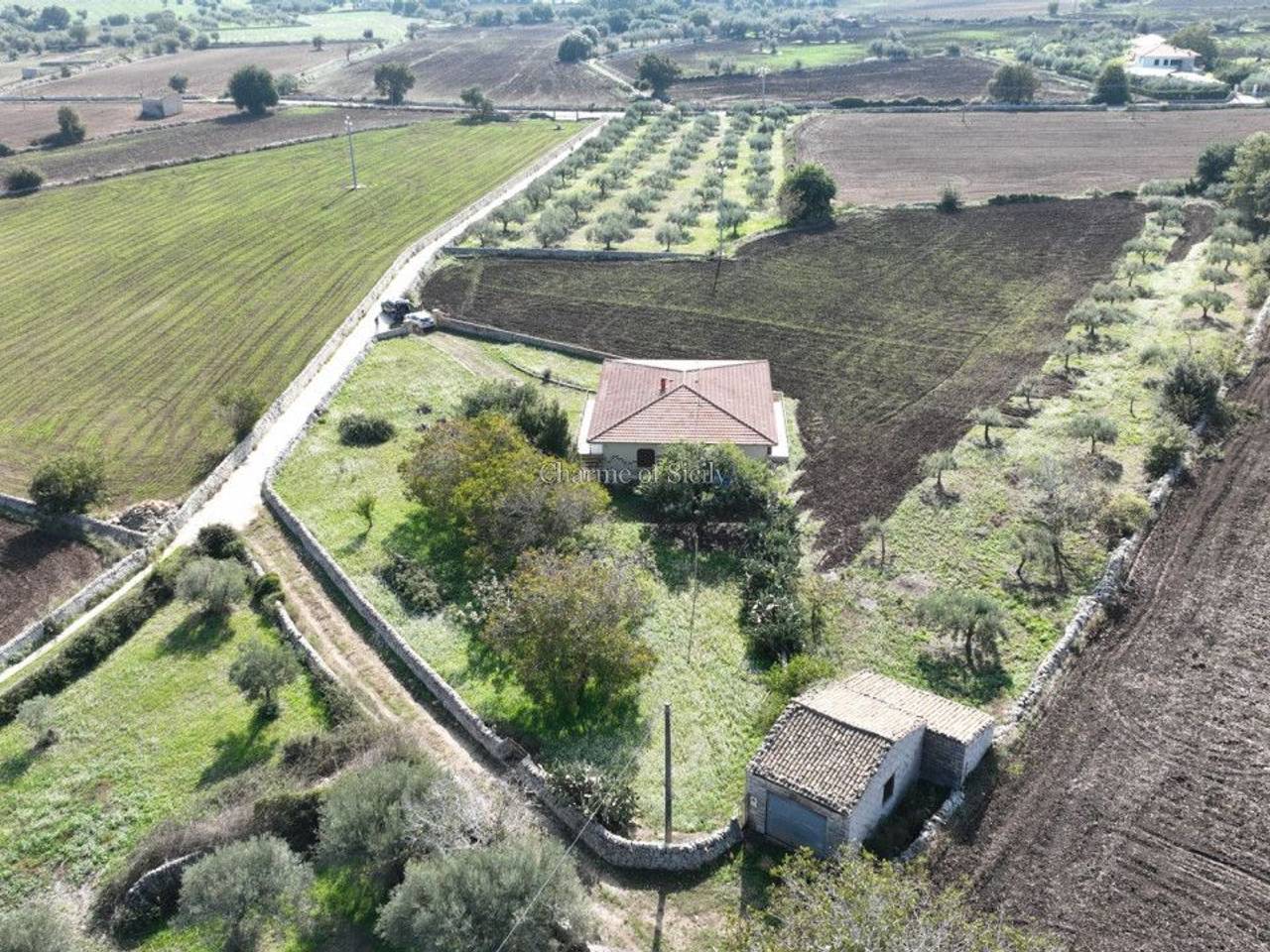 immagine annuncio 8 di 11