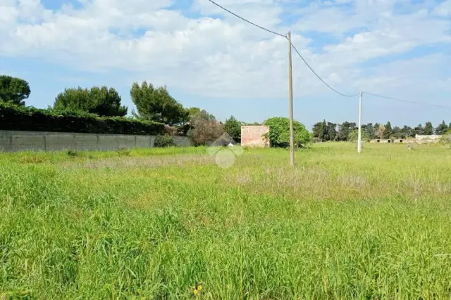 insertion image