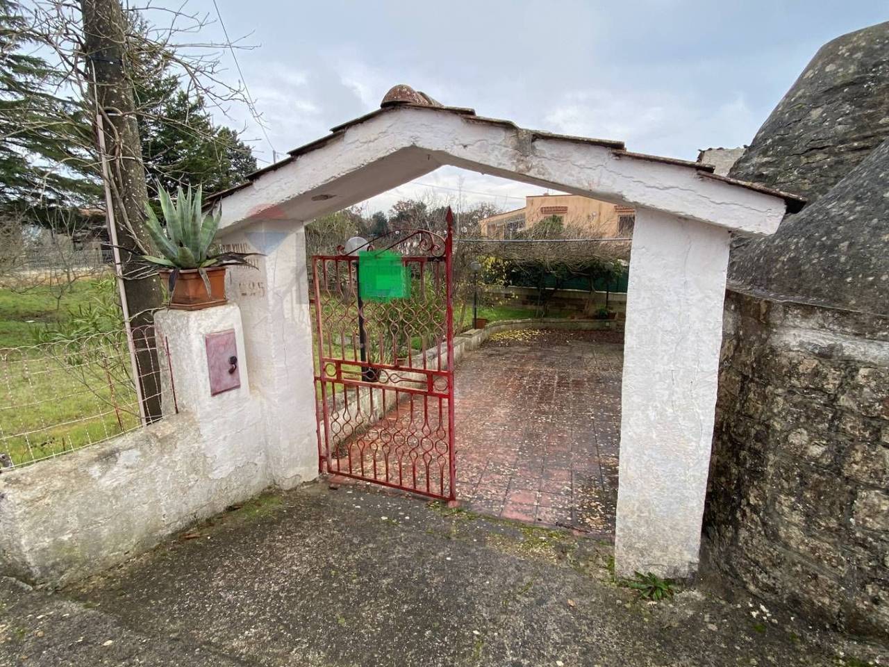 immagine annuncio 12 di 13