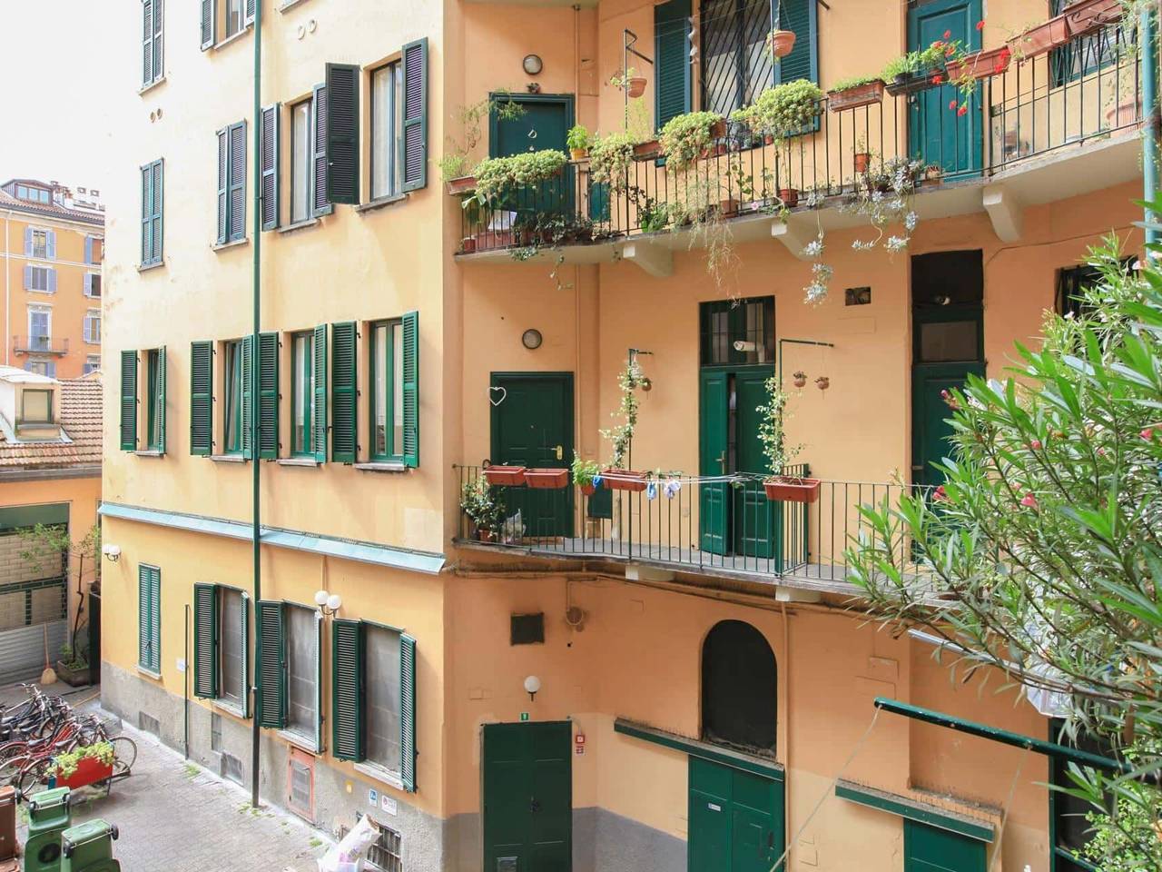 immagine annuncio 3 di 15