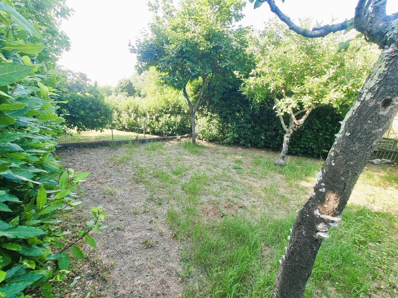 immagine annuncio 12 di 14