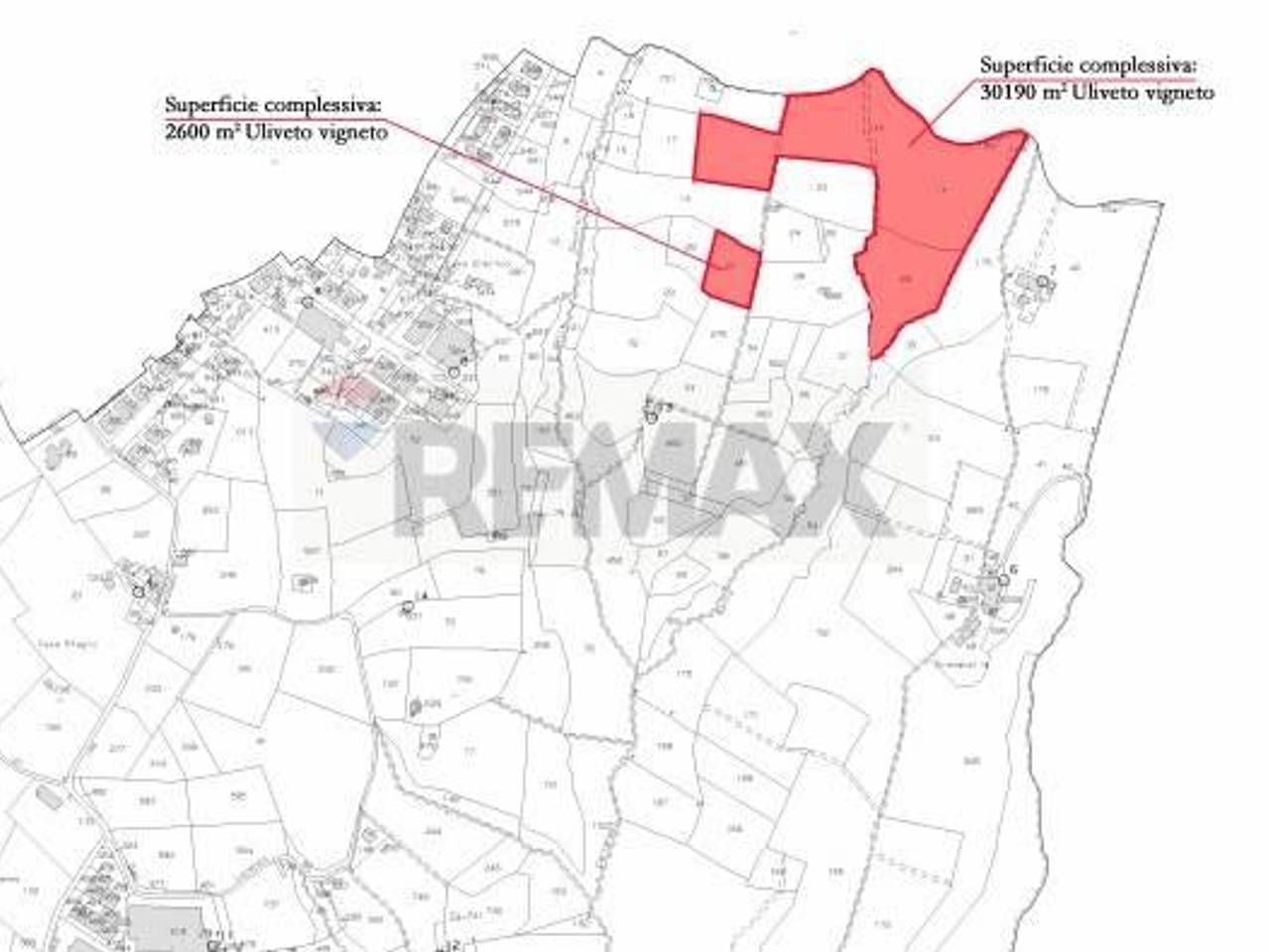 immagine annuncio 5 di 6