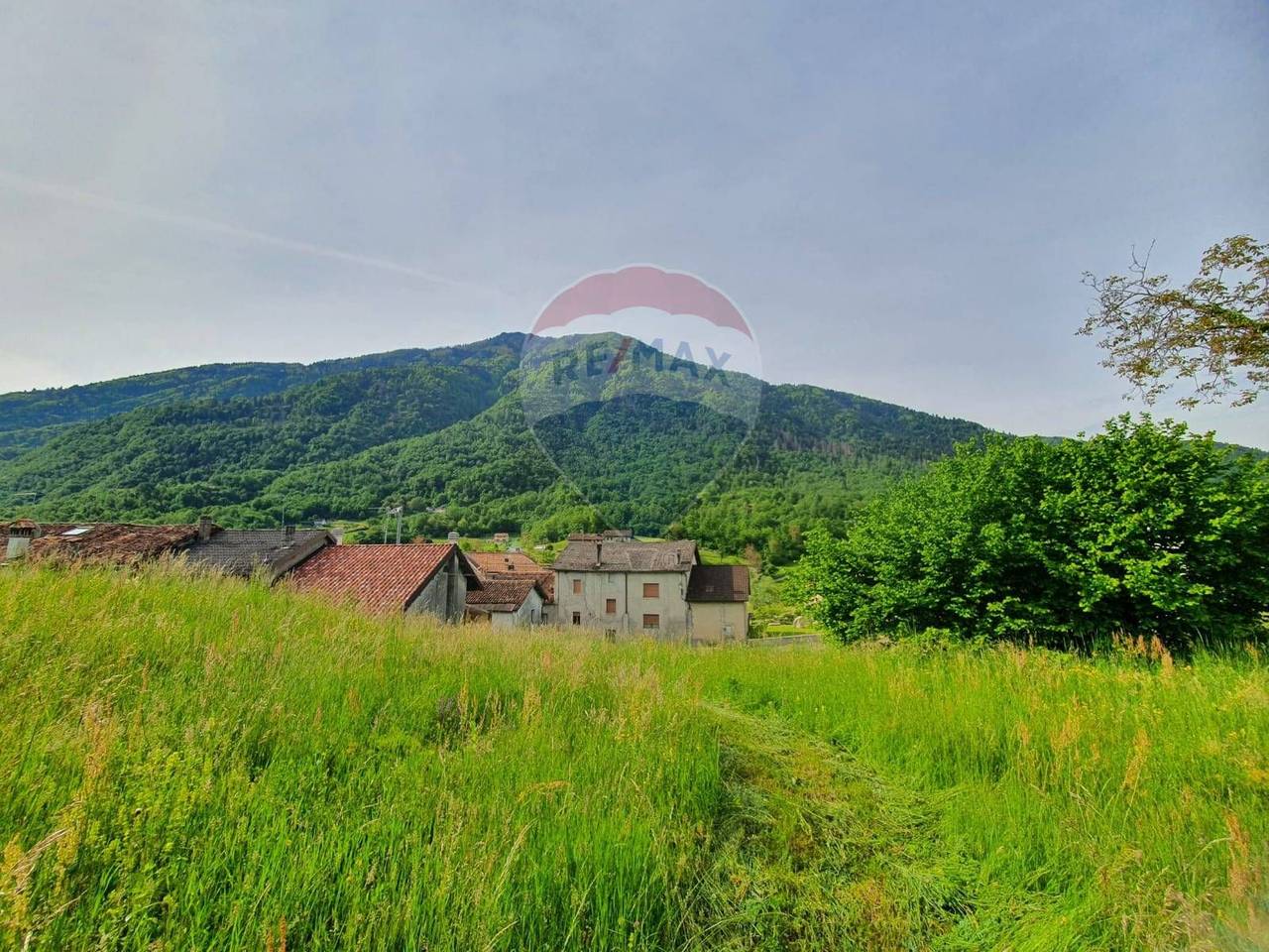 immagine annuncio 3 di 6