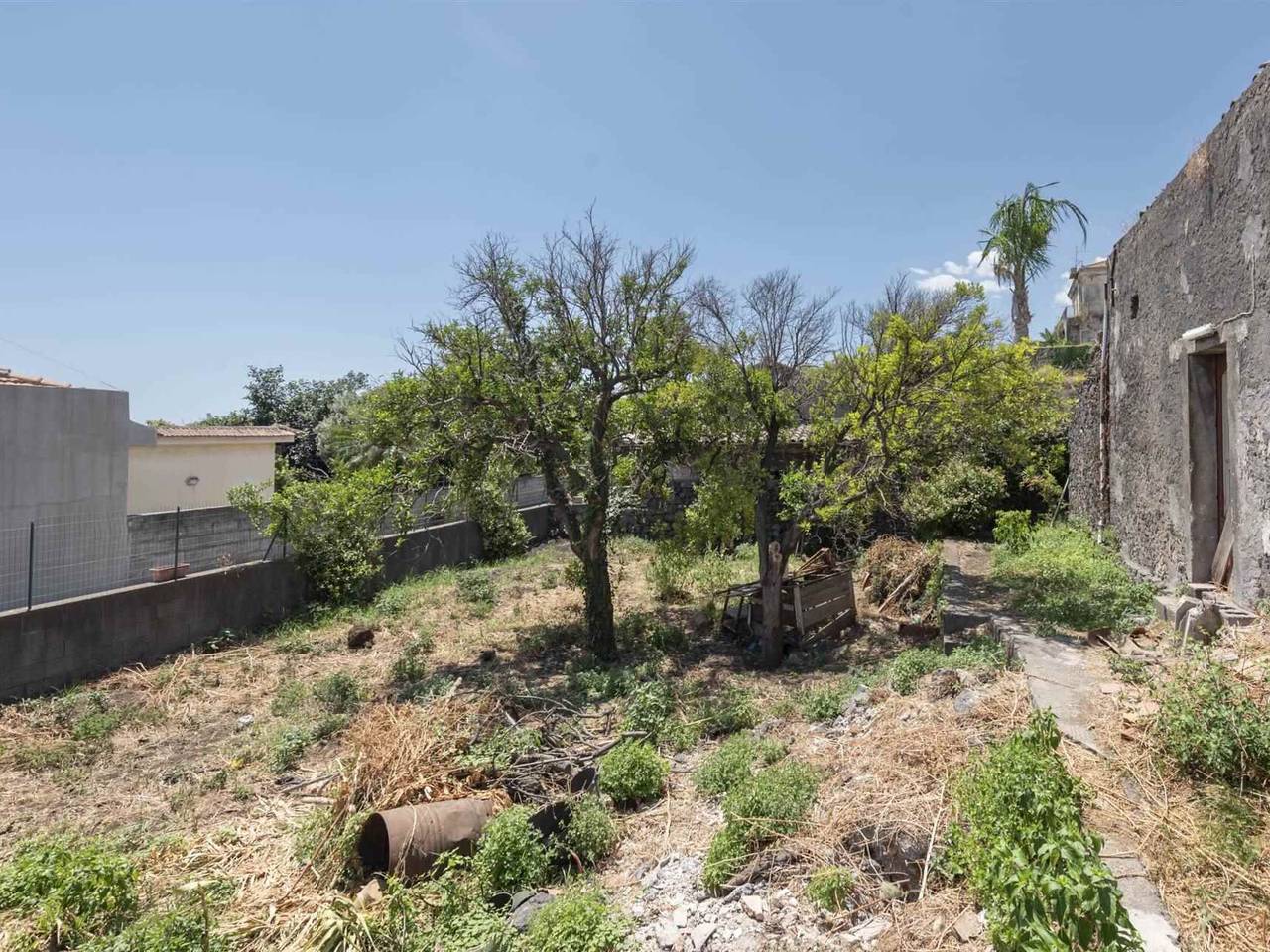 immagine annuncio 1 di 11