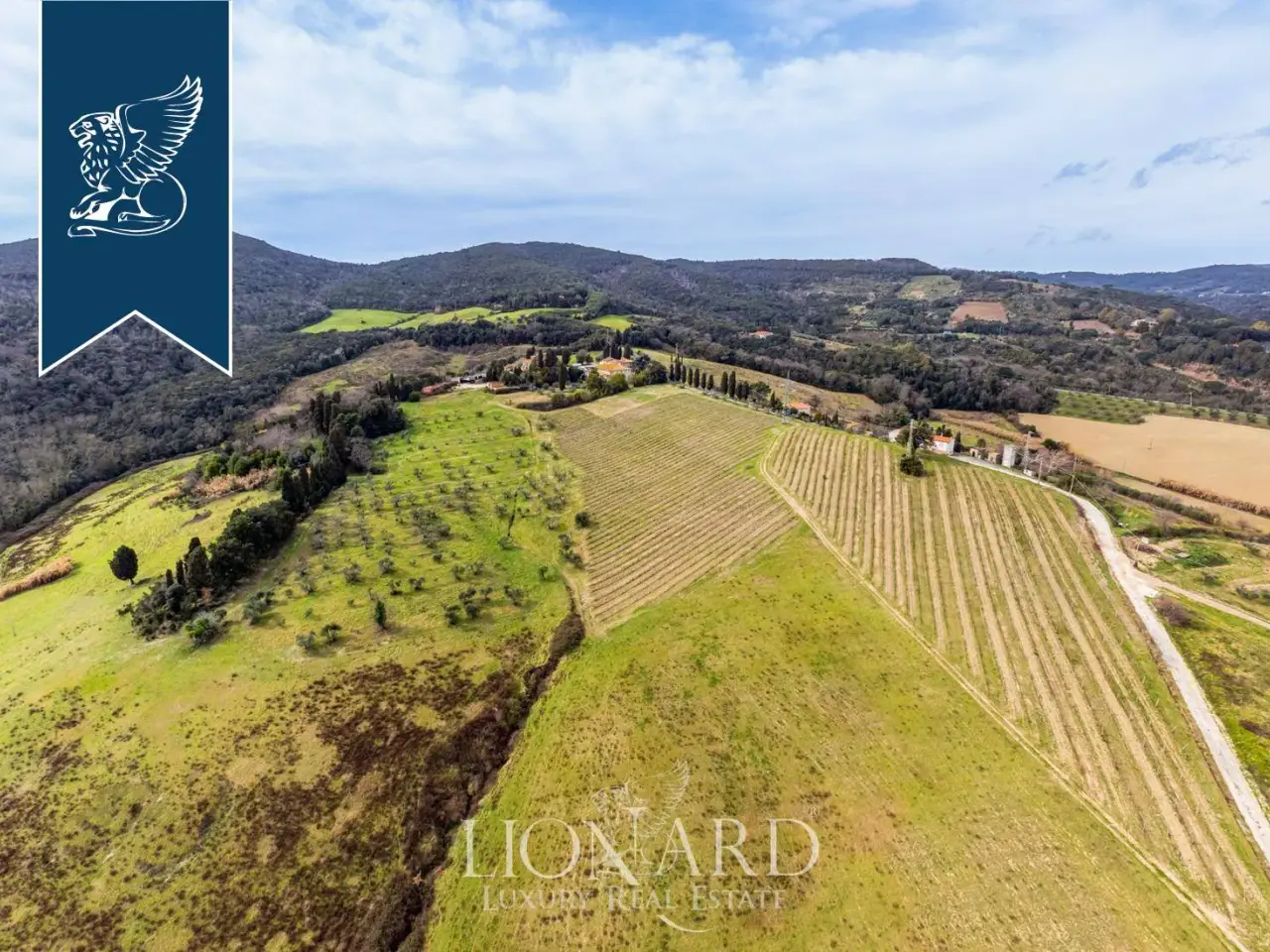 Azienda agricola in , Rosignano Marittimo, {3} - Foto 2