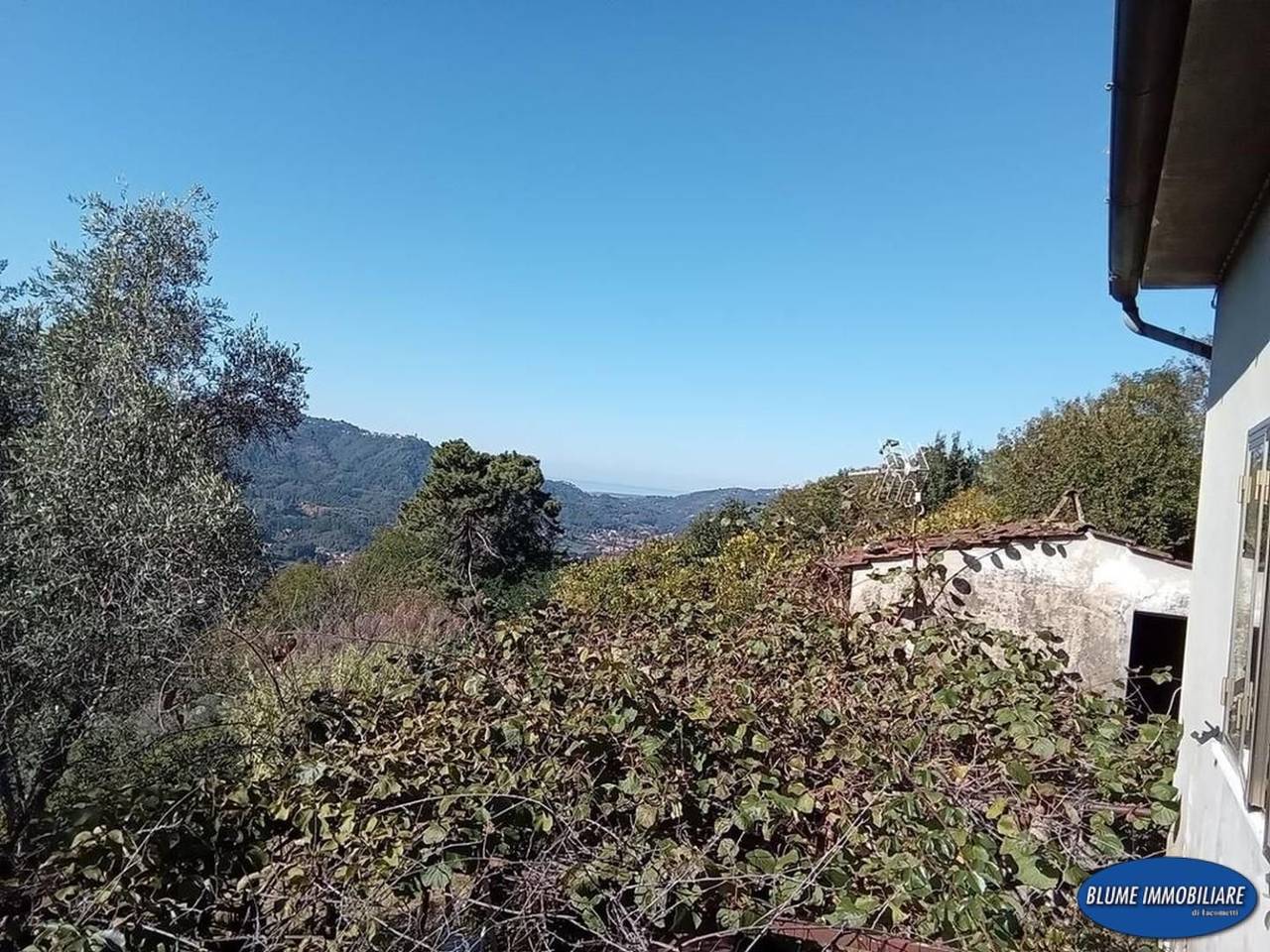 casale in vendita a Camaiore in zona Pieve di Camaiore