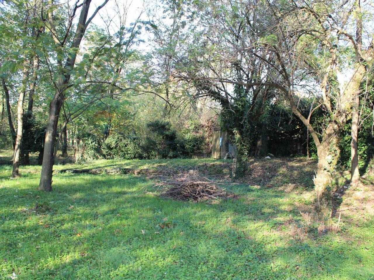 immagine annuncio 8 di 14