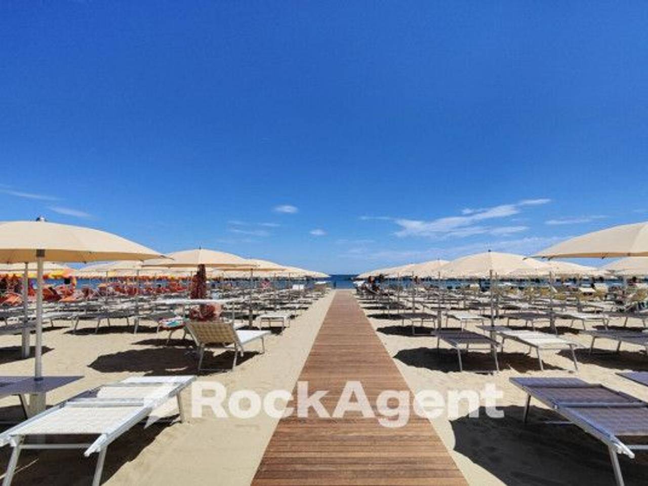 immagine annuncio 5 di 14