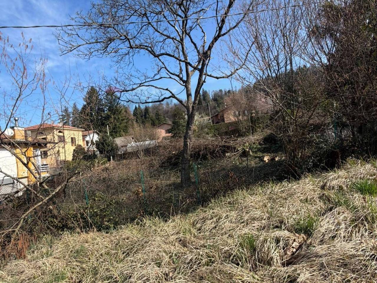 immagine annuncio 1 di 4